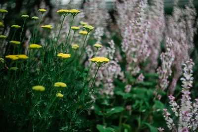 Mückenfallen UV elektrisch Vergleich 2026: Die beste Lösung für Garten & Terrasse