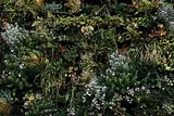 Wetterfester Kunststoff-Außenkasten für Garten 2026 kaufen