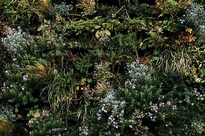 Wetterfester Kunststoff-Außenkasten für Garten 2026 kaufen