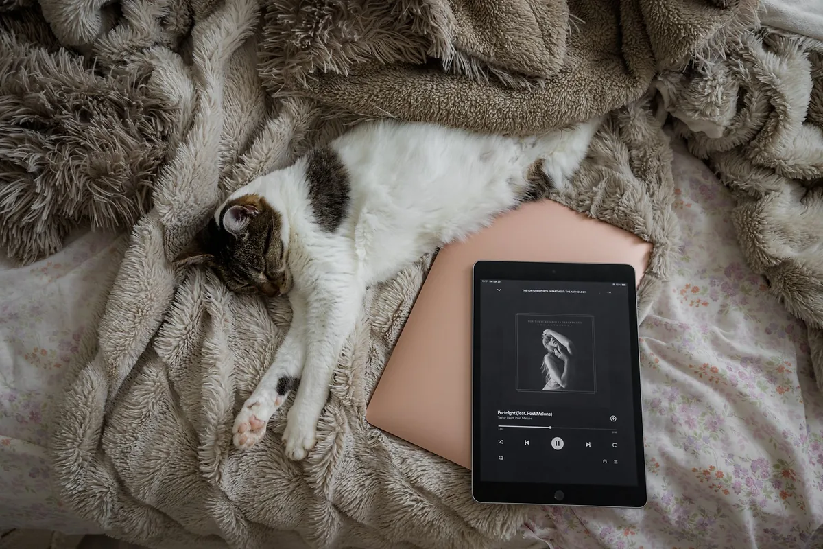 Mejor eReader Kindle 2026: guía para elegir sin equivocarte