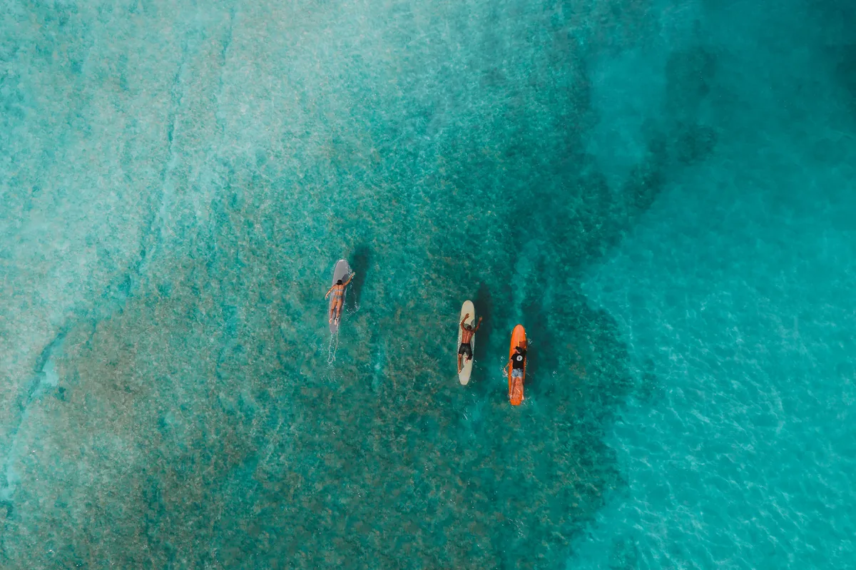 Tabla paddle surf hinchable 2026: cómo elegir la mejor para principiantes
