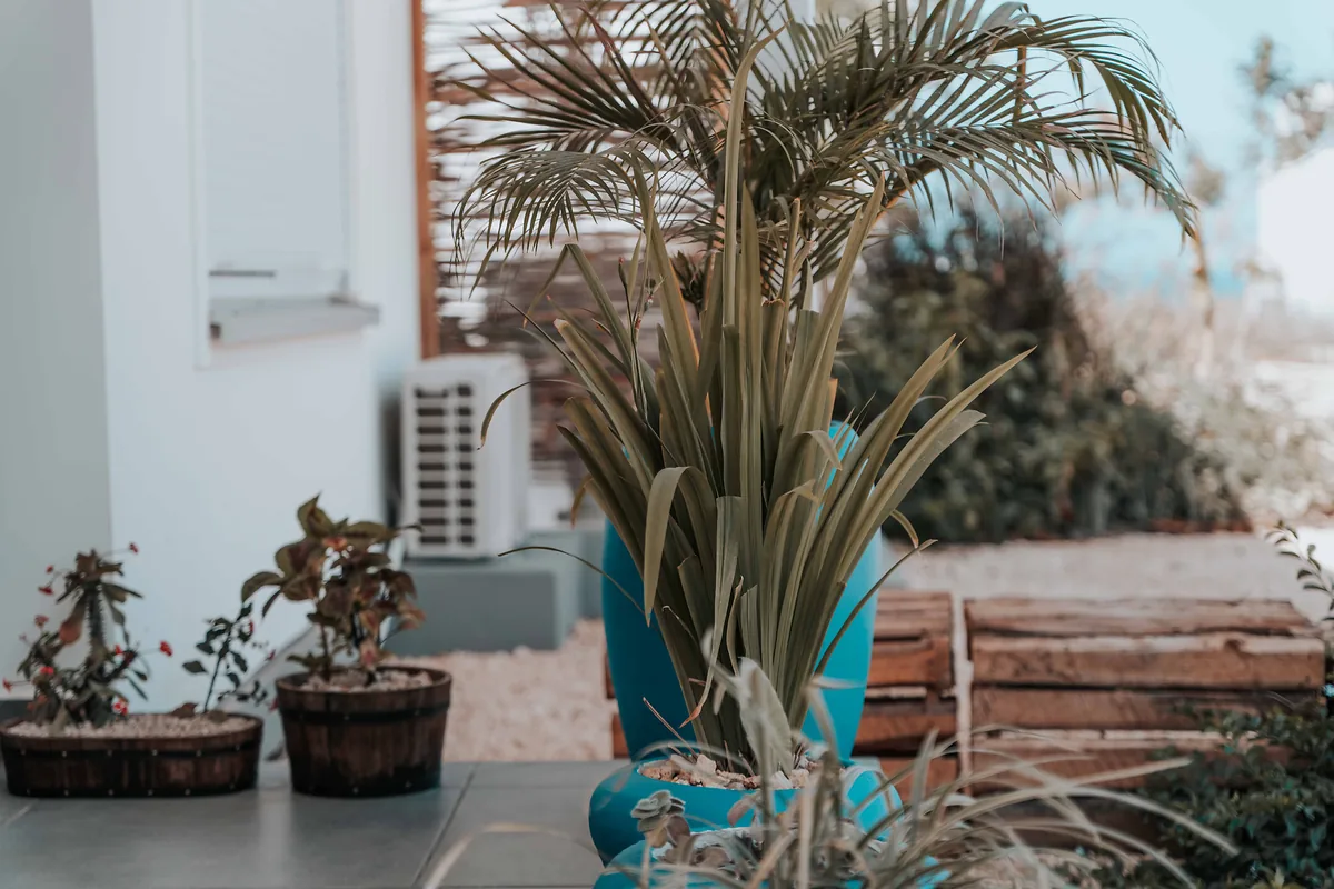 Ventiladores nebulizadores para terraza 2026: cómo elegir el adecuado sin complicaciones