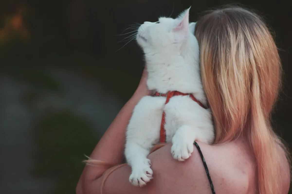 Meilleurs aspirateurs balais sans fil anti-poils d'animaux 2026
