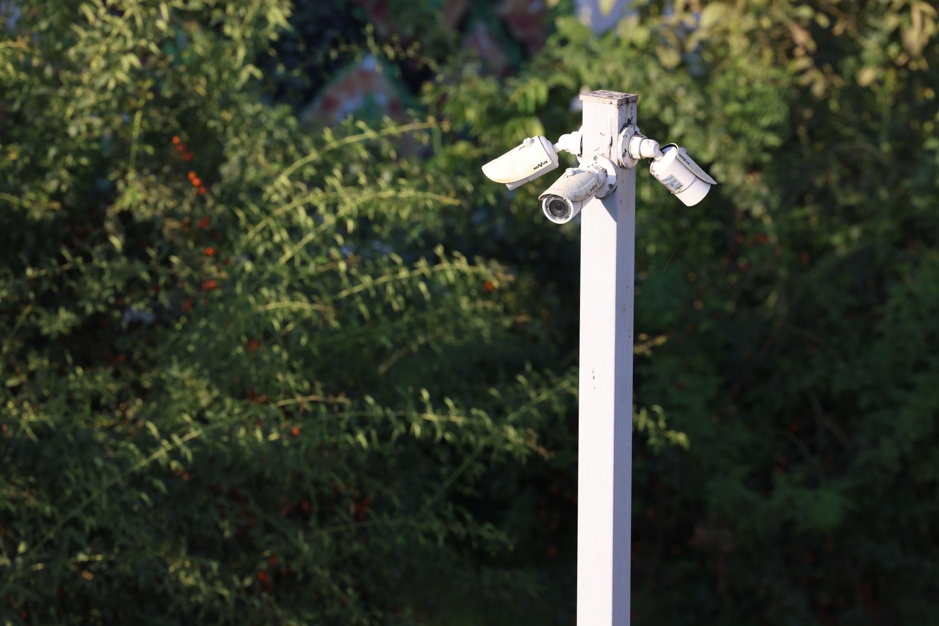 Le 5 migliori telecamere di sorveglianza Wi-Fi del 2026: guida all'acquisto