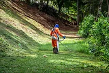 Najlepšie robotické kosačky roku 2026: nákupný sprievodca pre každý rozpočet