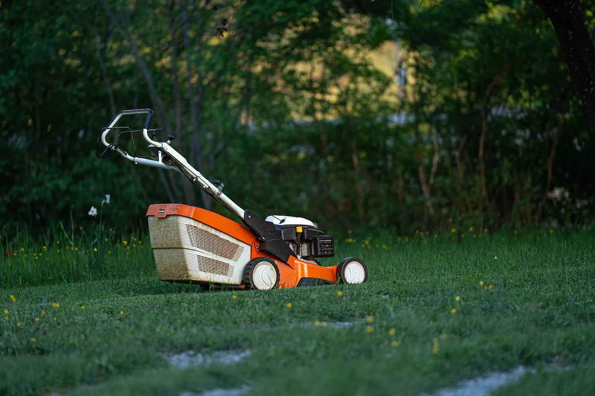 Ktorá robotická kosačka Mammotion bez drôtu je najlepšia? Porovnanie 2026